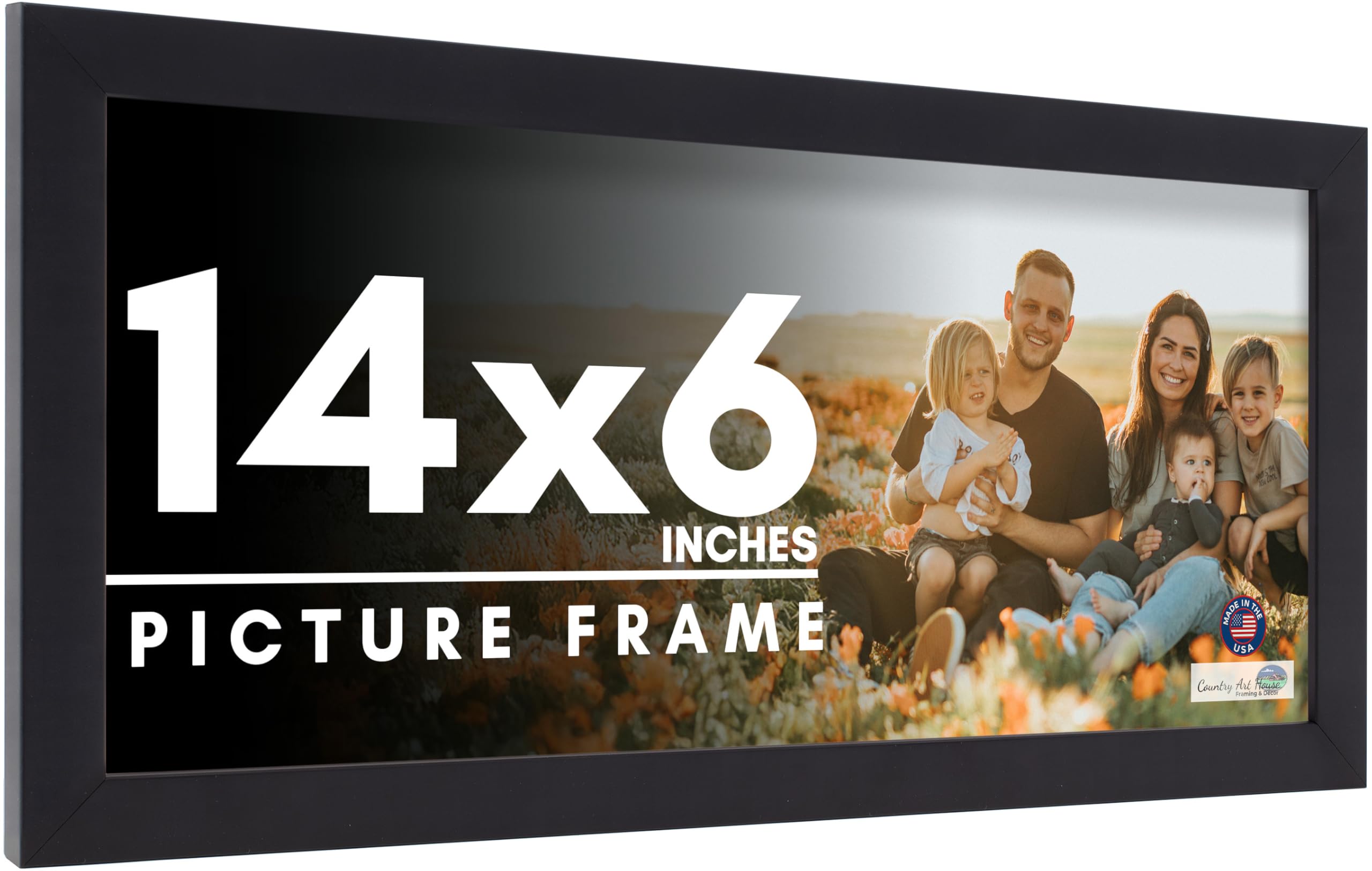 Amazon.com - 14x6 Frame Black Picture Frame - Complete Modern